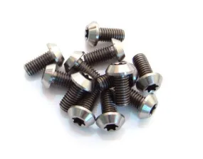 Far and Near Ti Rotor Bolts